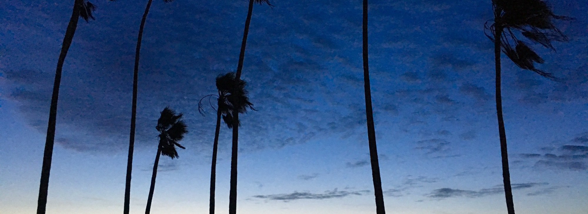 Endodontics Clearwater FL, Endodontist