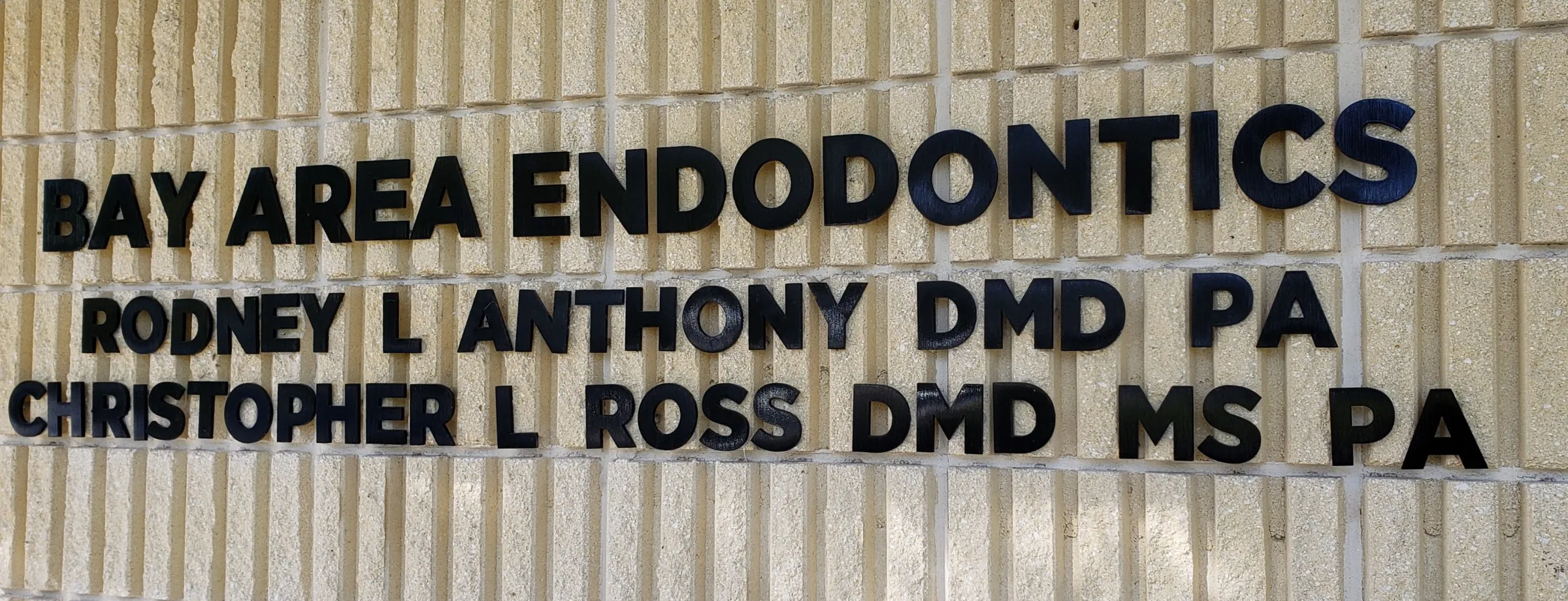 Endodontics Clearwater FL Bay Area Endodontics, LLP