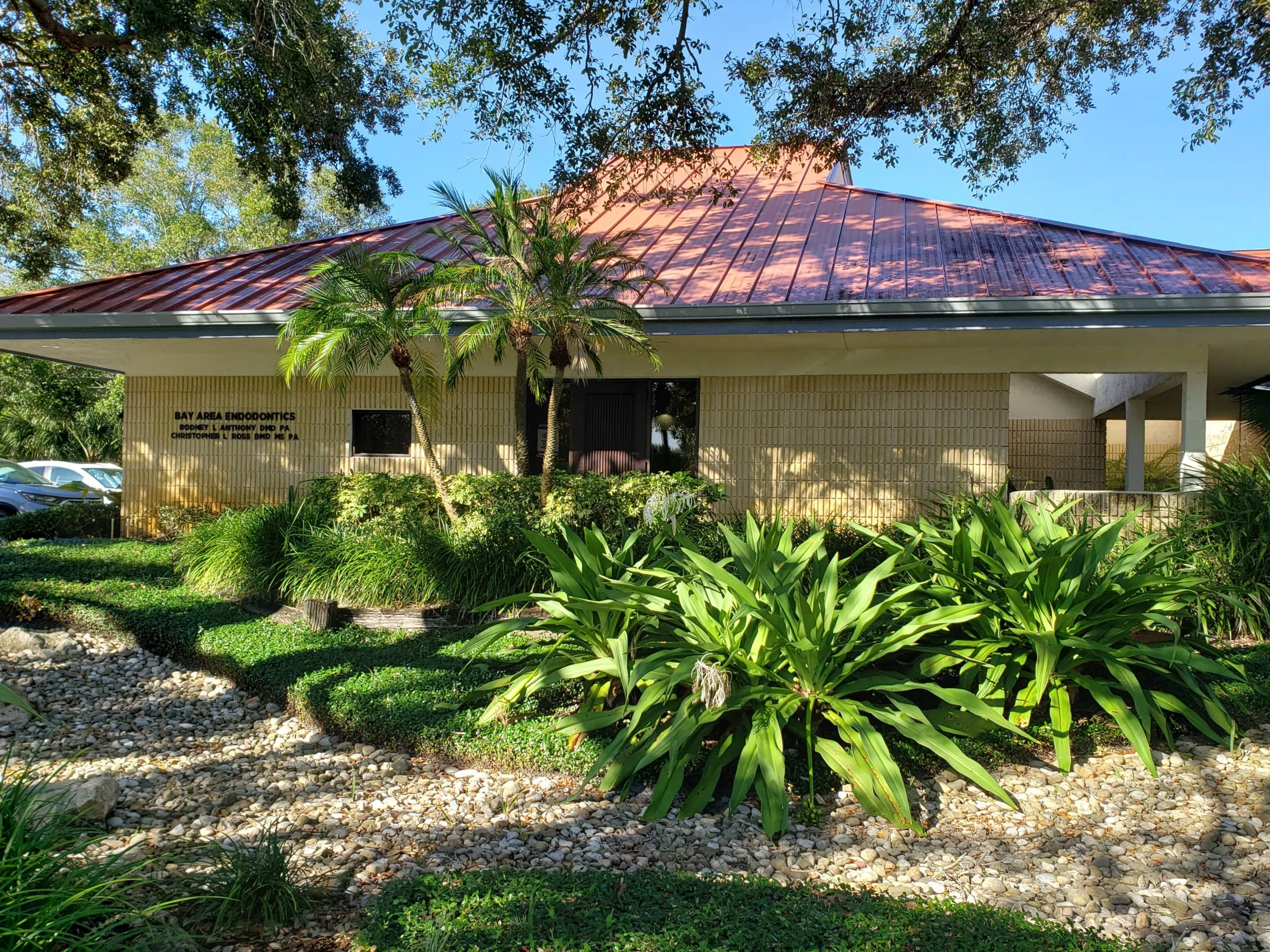 Endodontics Clearwater FL Bay Area Endodontics, LLP