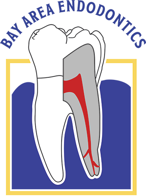 Link to Bay Area Endodontics home page