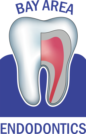 Link to Bay Area Endodontics home page